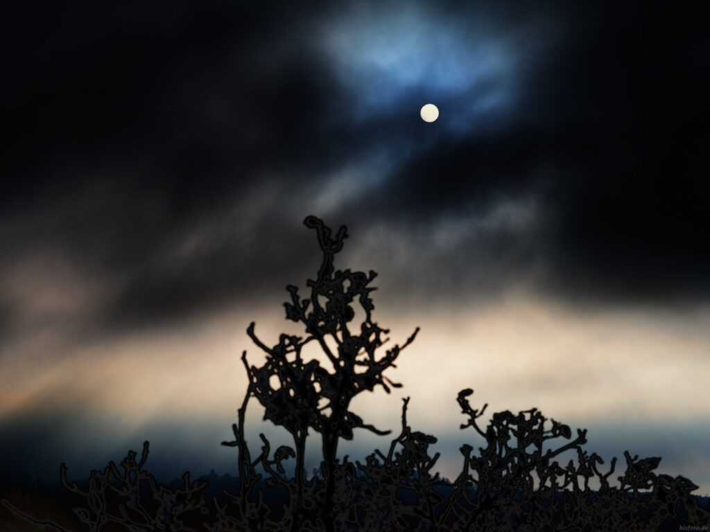 Fotografie von Hilmar Sundermann in surrealer Bearbeitung mit düsteren Farben. Silhouetten von Pflanzen vor einem dunklen wolkenverhangenem Himmel mit durchscheinender Sonne.