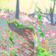 Fotografie von Hilmar Sundermann in surrealer Bearbeitung mit hellen, überbelichteten Farben. Waldszene mit moosbedecktem Baumstamm und Laub am Boden innerhalb kreisförmiger Bewegungsspuren. Einzelne Bäume im Hintergrund.