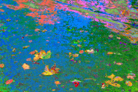 Fotografie von Hilmar Sundermann in surrealer Bearbeitung mit pastellartigen Farben in schillernden Blau-, Grün- und Pinktönen. Wasseroberfläche mit verstreuten Blättern, Wasserlinsen und bunten Reflexionen.